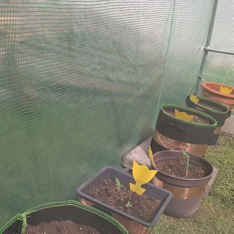 Titan #1 growlog timeline photo