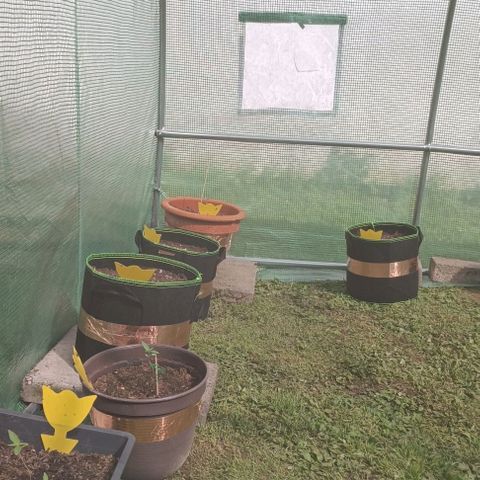 Titan #1 growlog timeline photo