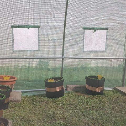Titan #1 growlog timeline photo