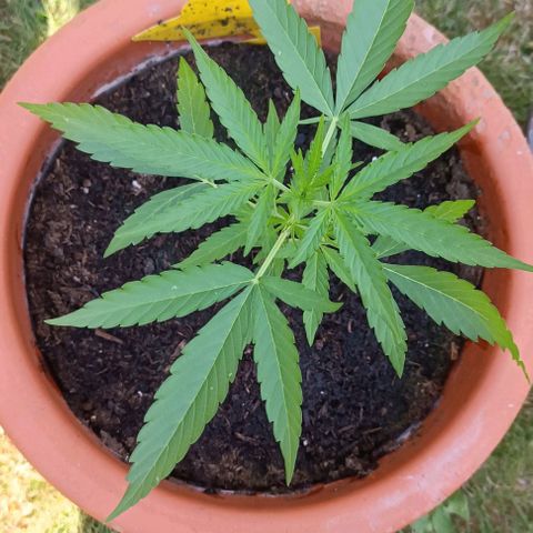 Titan #1 growlog timeline photo