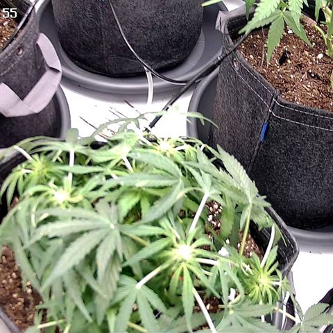 Epsilon F1  growlog timeline photo