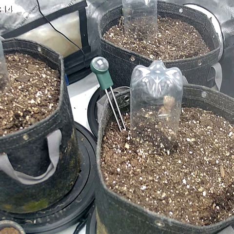 Sagrada Amnesia #2. 06 growlog timeline photo