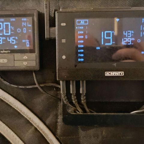 Sagrada Amnesia #2. 06 growlog timeline photo