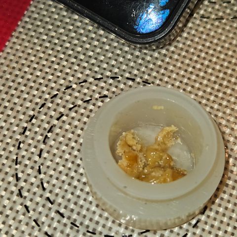 White Widow growlog timeline photo