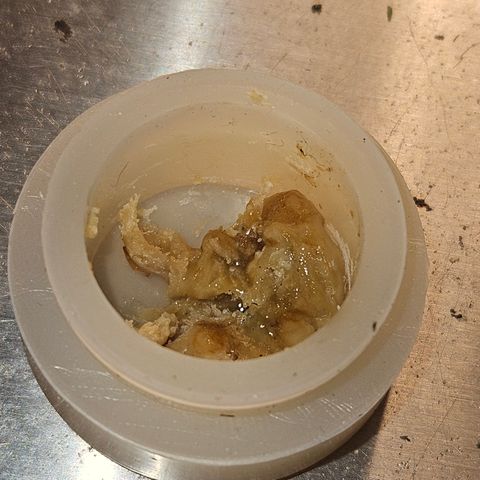 White Widow growlog timeline photo