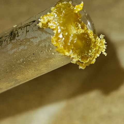 Mephisto Alien vs Triangle X 3 Bears OG Auto growlog timeline photo