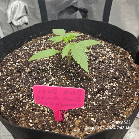Seed The Change #2 growlog timeline photo