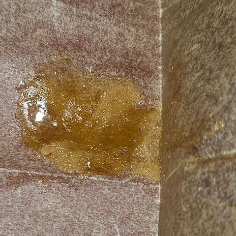 Seedsman Seeds Tangerine Snow F1 Fast growlog timeline photo