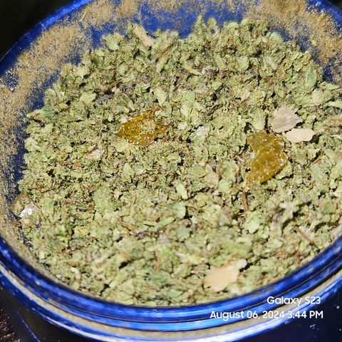 Seedsman Seeds Tangerine Snow F1 Fast growlog timeline photo