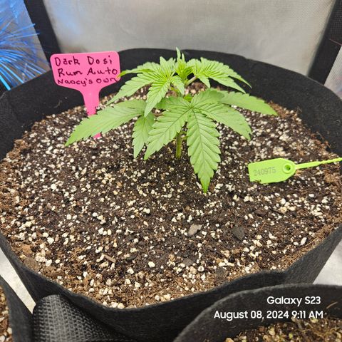 Seed The Change #2 growlog timeline photo