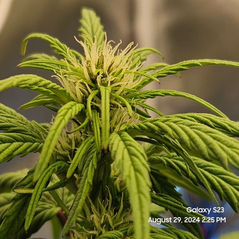 Seed The Change #2 growlog timeline photo