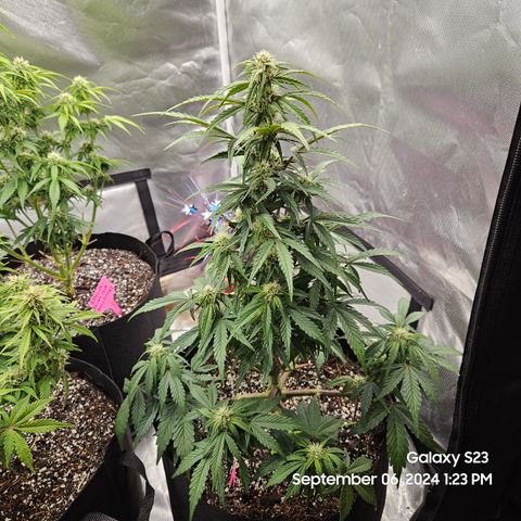 Seed The Change #2 growlog timeline photo