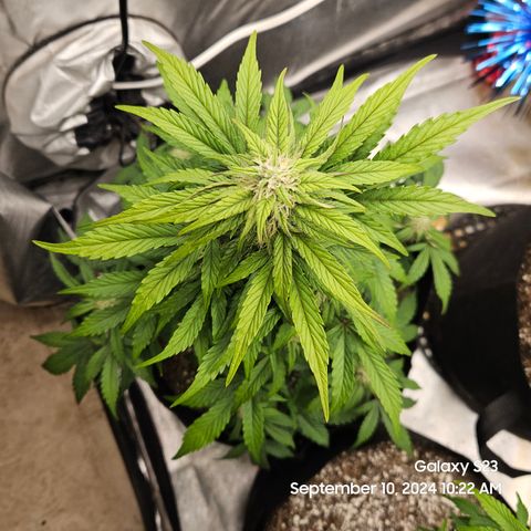 Seed The Change #2 growlog timeline photo