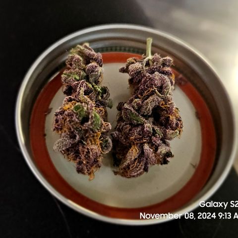 Loonatixz Testers #2 MN MILF growlog timeline photo