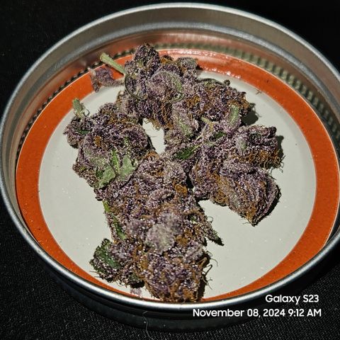 Loonatixz Testers #2 MN MILF growlog timeline photo
