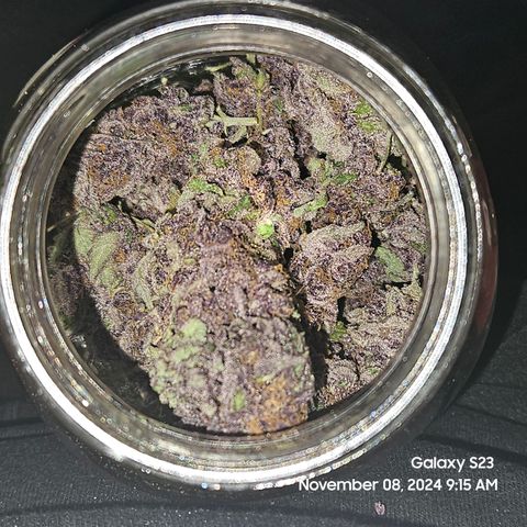 Loonatixz Testers #2 MN MILF growlog timeline photo