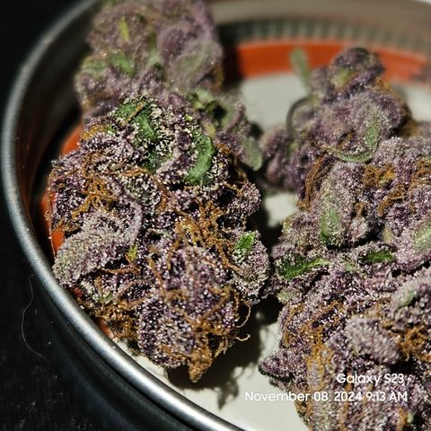 Loonatixz Testers #2 MN MILF growlog timeline photo