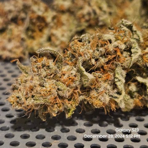 PPP 9 # Hammer growlog timeline photo