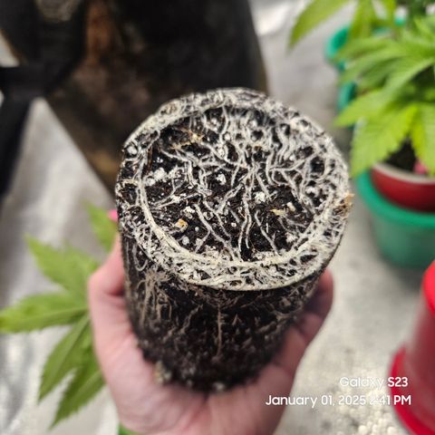 Out of The Tackle Box  growlog timeline photo