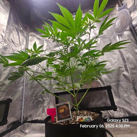 Out of The Tackle Box  growlog timeline photo