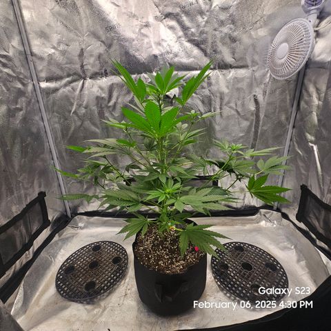 Out of The Tackle Box  growlog timeline photo
