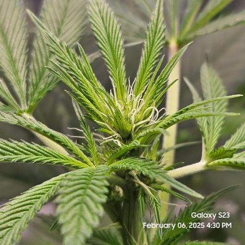 Out of The Tackle Box  growlog timeline photo