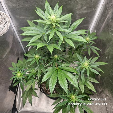 Out of The Tackle Box  growlog timeline photo