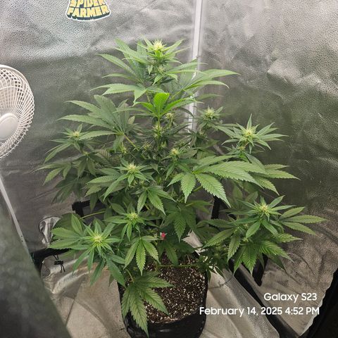 Out of The Tackle Box  growlog timeline photo