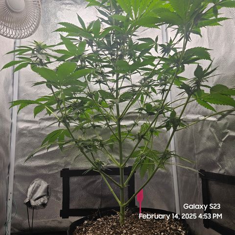 Out of The Tackle Box  growlog timeline photo