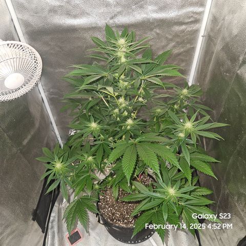 Out of The Tackle Box  growlog timeline photo