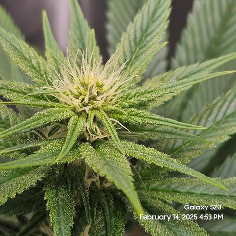 Out of The Tackle Box  growlog timeline photo
