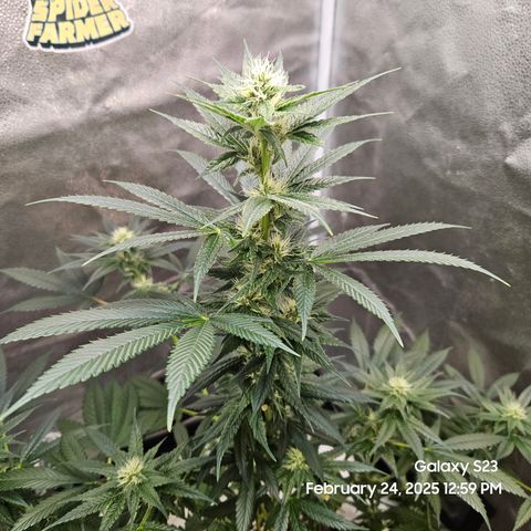 Out of The Tackle Box  growlog timeline photo