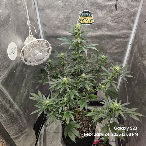 Out of The Tackle Box  growlog timeline photo