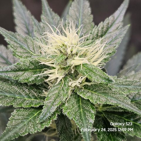 Out of The Tackle Box  growlog timeline photo