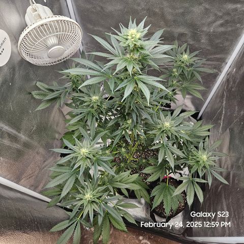 Out of The Tackle Box  growlog timeline photo