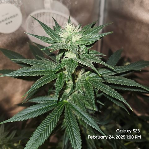 Out of The Tackle Box  growlog timeline photo