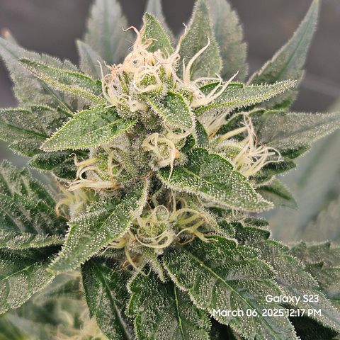 Out of The Tackle Box  growlog timeline photo