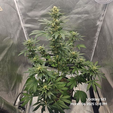 Out of The Tackle Box  growlog timeline photo