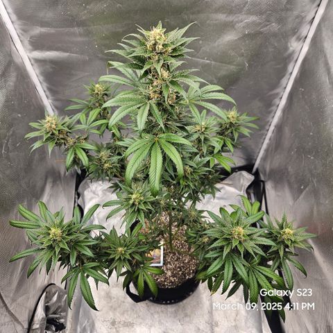 Out of The Tackle Box  growlog timeline photo