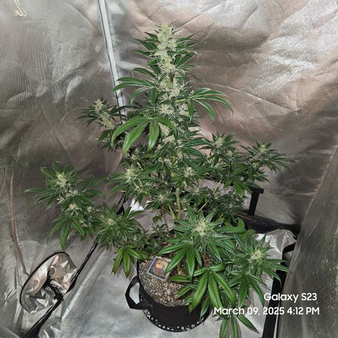 Out of The Tackle Box  growlog timeline photo