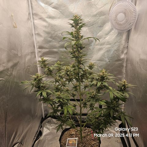 Out of The Tackle Box  growlog timeline photo