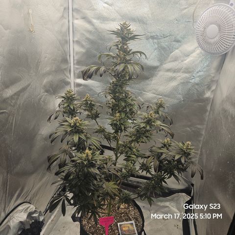 Out of The Tackle Box  growlog timeline photo