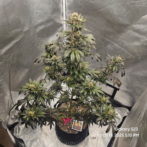 Out of The Tackle Box  growlog timeline photo