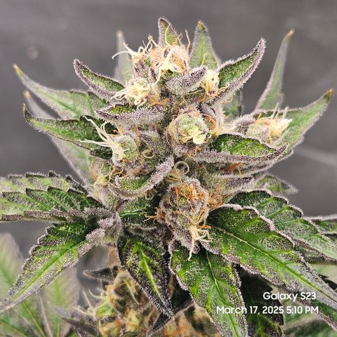 Out of The Tackle Box  growlog timeline photo
