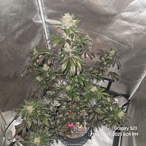 Out of The Tackle Box  growlog timeline photo