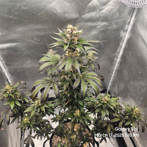 Out of The Tackle Box  growlog timeline photo