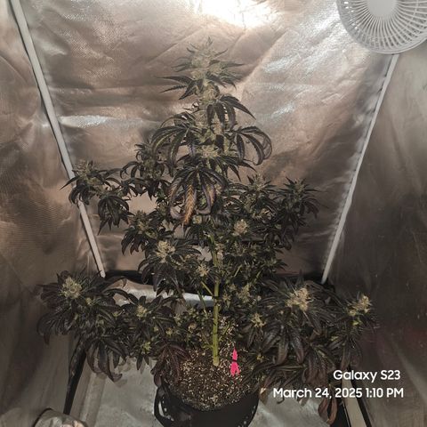 Out of The Tackle Box  growlog timeline photo