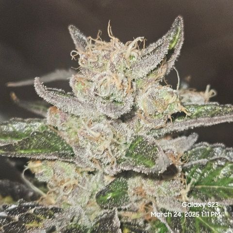 Out of The Tackle Box  growlog timeline photo