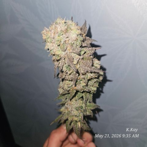 Ethos End Game growlog timeline photo