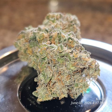 Ethos End Game growlog timeline photo